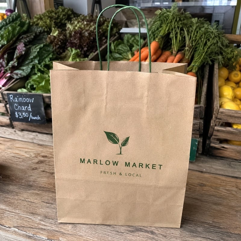 Promotional custom gift bags with company logo